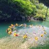Paket Body Rafting Green Canyon - Image 2